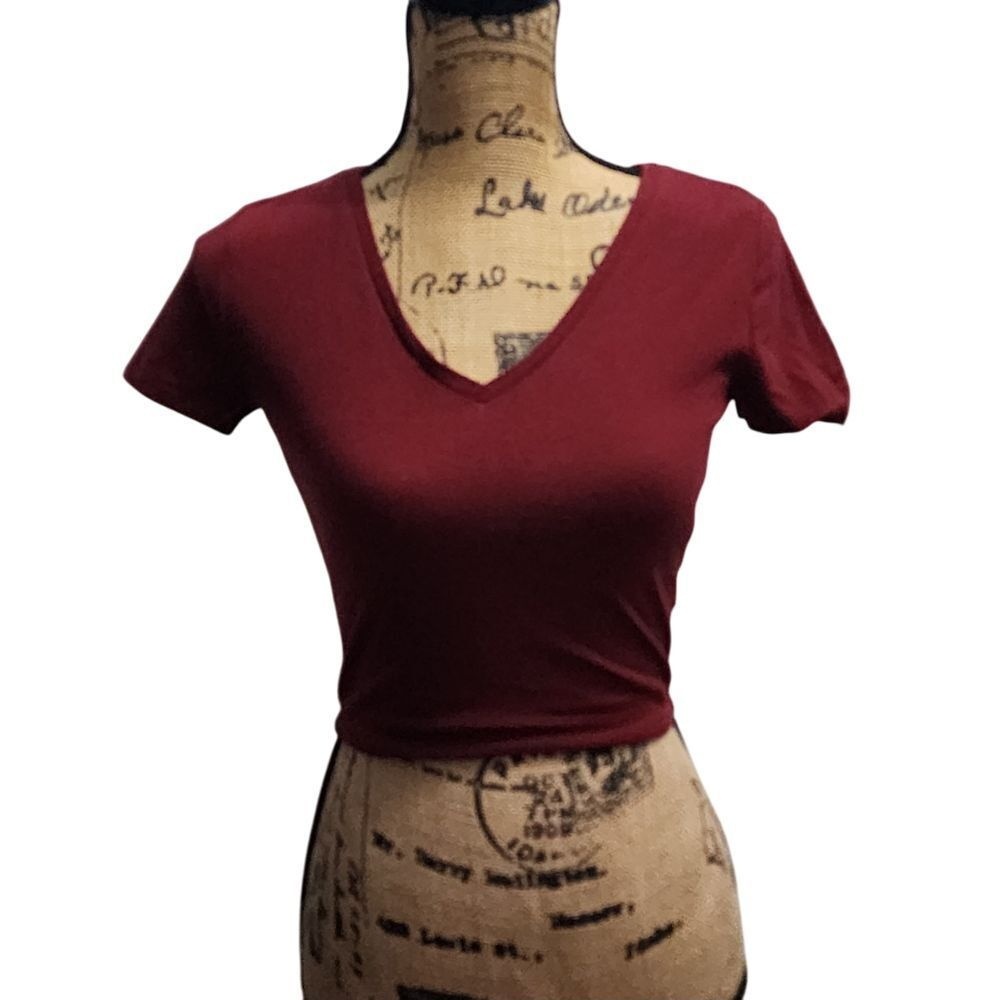 Wild Fable Burgundy V-Neck Crop Top Basic Fitted Short Sleeve T-Shirt Size S